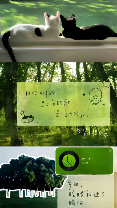 时间是一双眼睛 见喜 见忧 见离别 ​​​
#ins风壁纸#