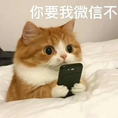 表情包