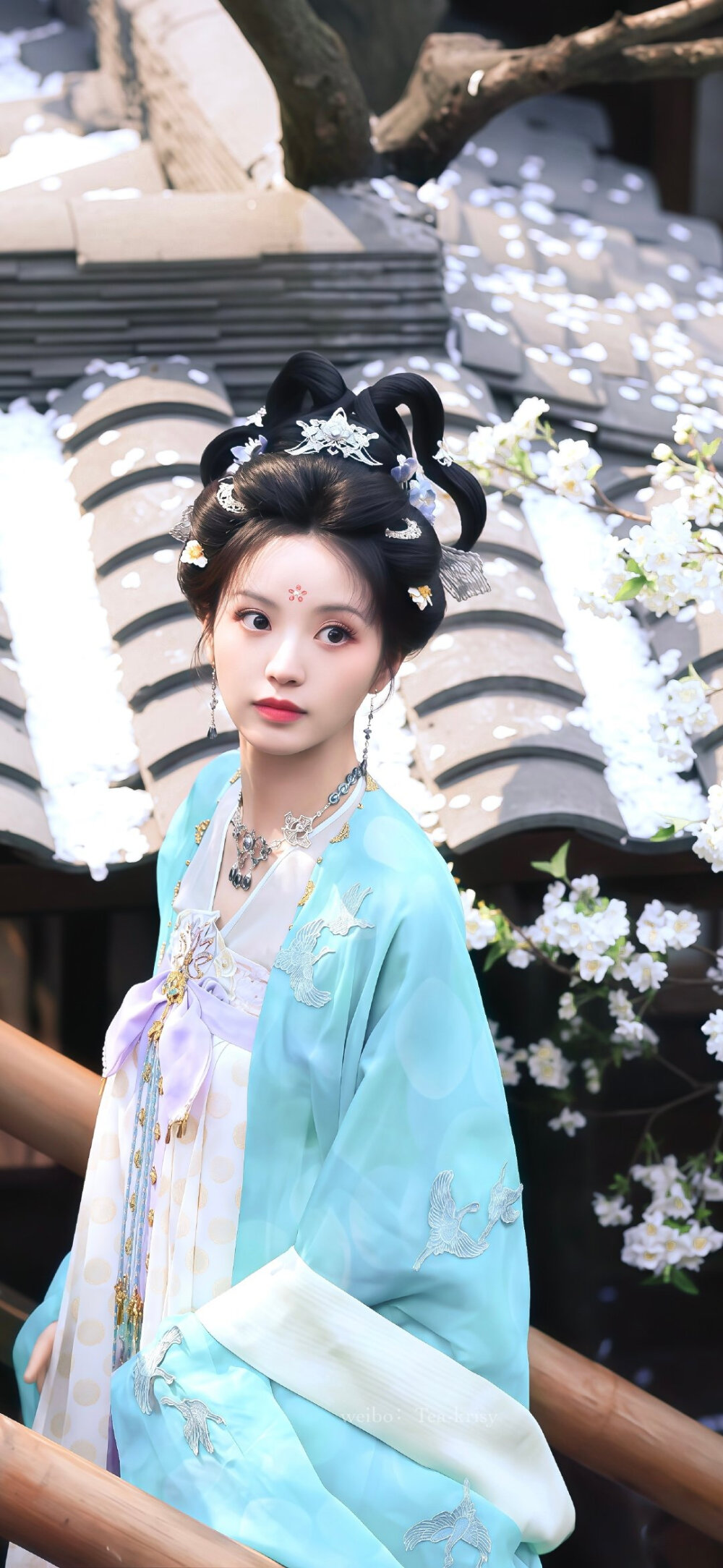 田曦薇 武祯