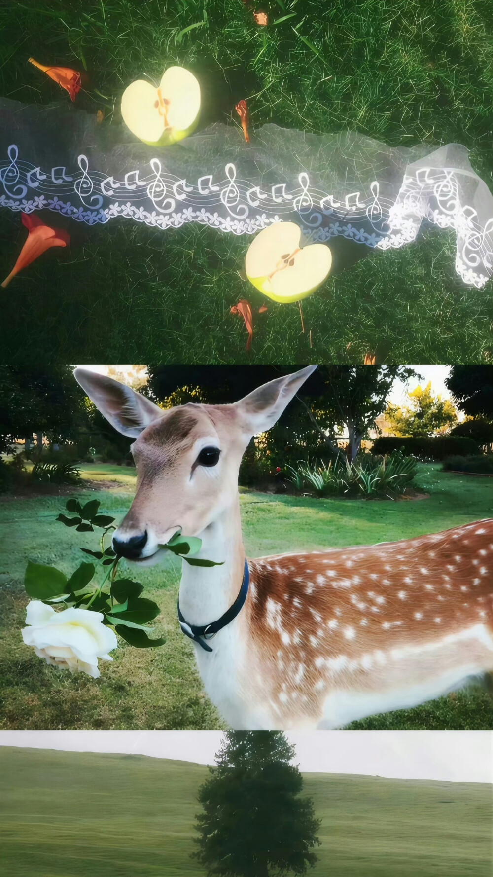 时间是一双眼睛 见喜 见忧 见离别 ​​​
#ins风壁纸#