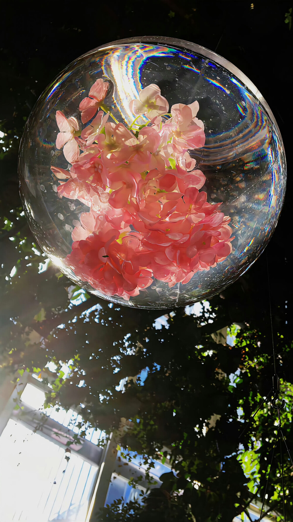 时间是一双眼睛 见喜 见忧 见离别 ​​​
#ins风壁纸#