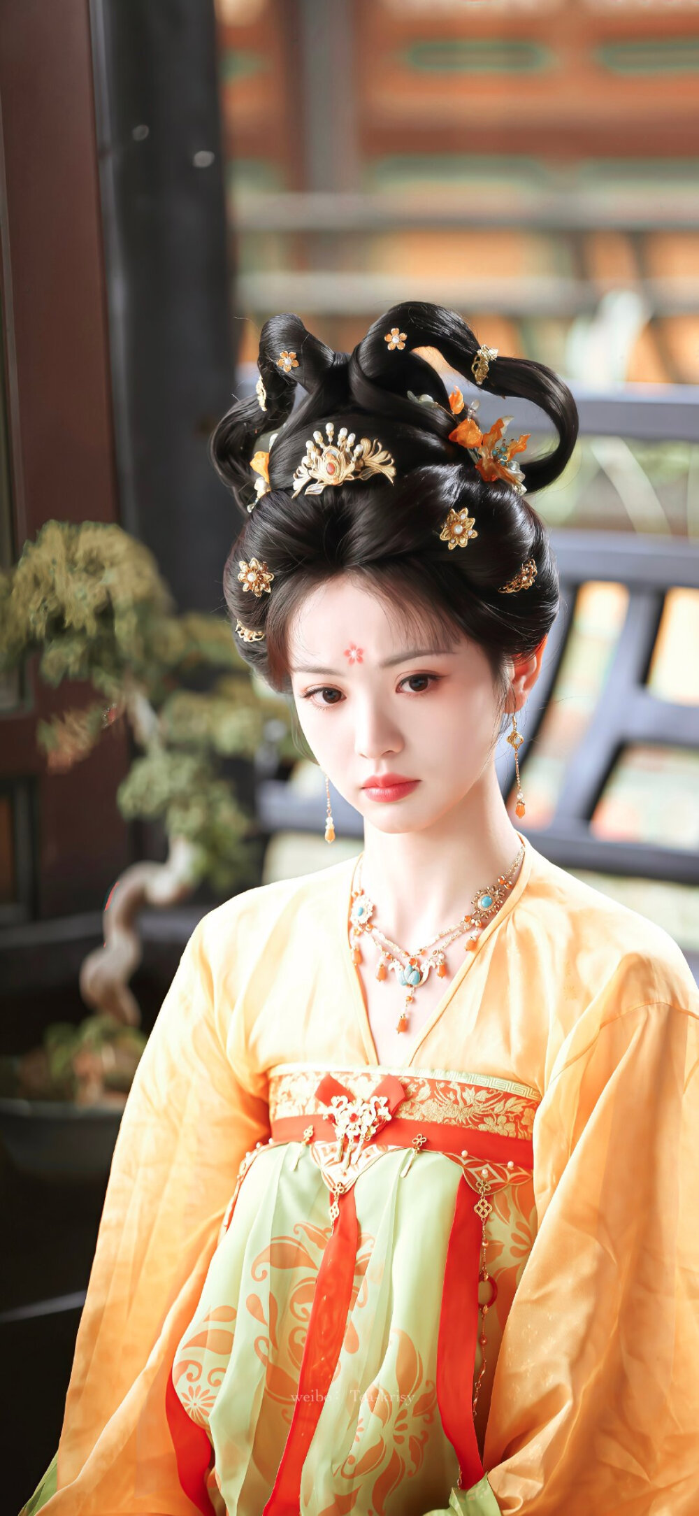 田曦薇 武祯