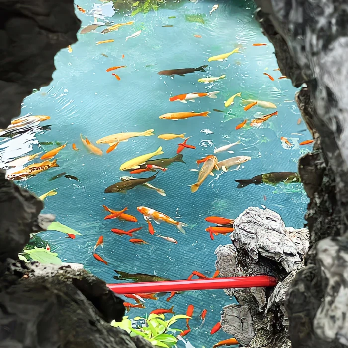 梅郎君应该懂得覆水难收的道理