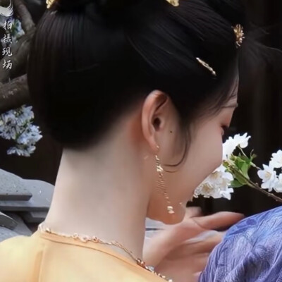 小猫萌