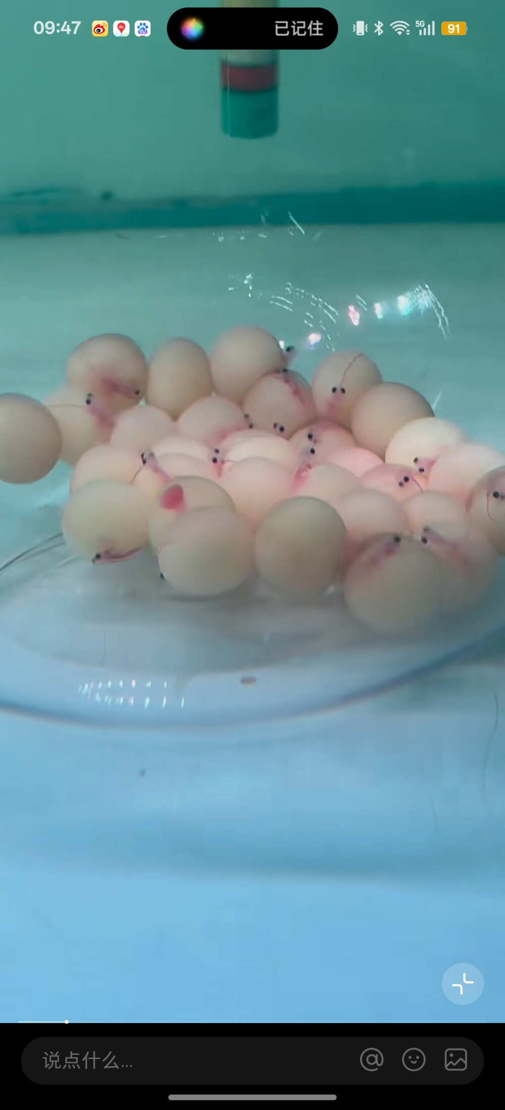 亿亿亿亿亿亿亿亿亿亿亿亿亿亿亿亿亿亿亿亿亿亿亿亿亿亿亿亿亿亿亿亿亿亿亿亿亿亿亿亿亿亿亿亿亿亿亿亿亿亿亿亿亿亿亿亿亿亿亿亿亿亿亿亿