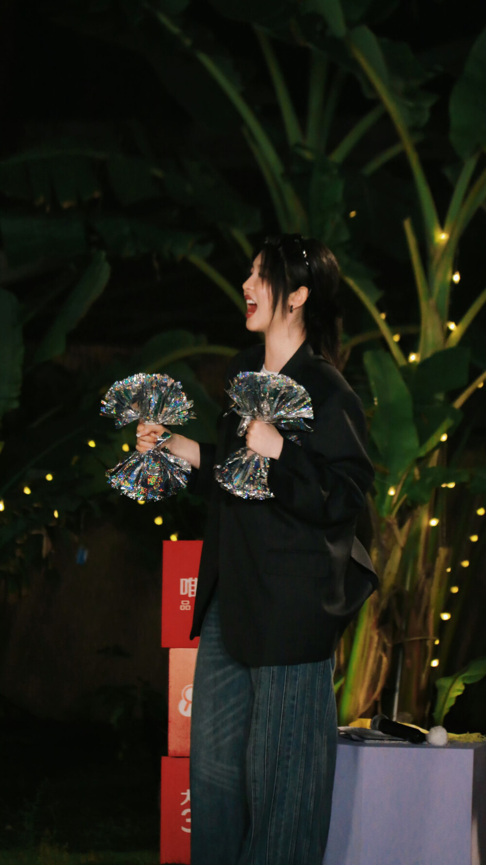 赵小棠