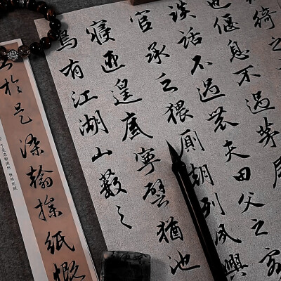 这个陈文嘉简直太宠我了