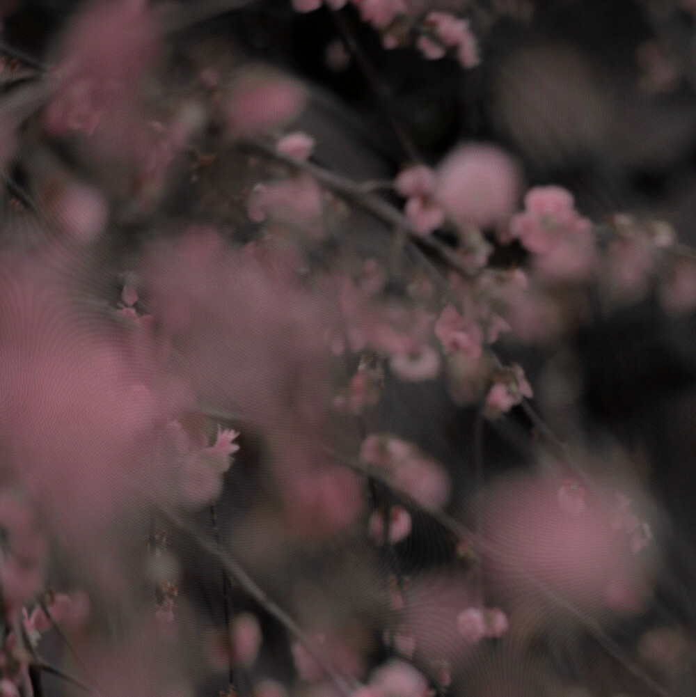 @裴珠泫酷的我你高攀不起 江舒宝宝送的