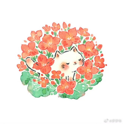 罗罗布