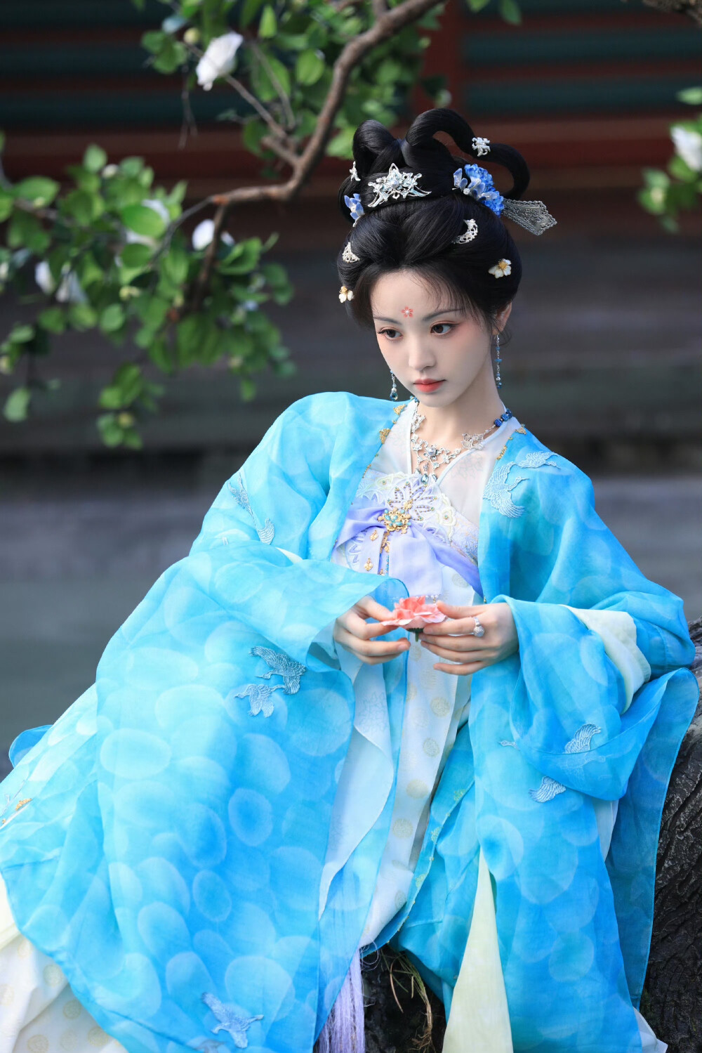 田曦薇