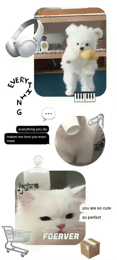 壁纸