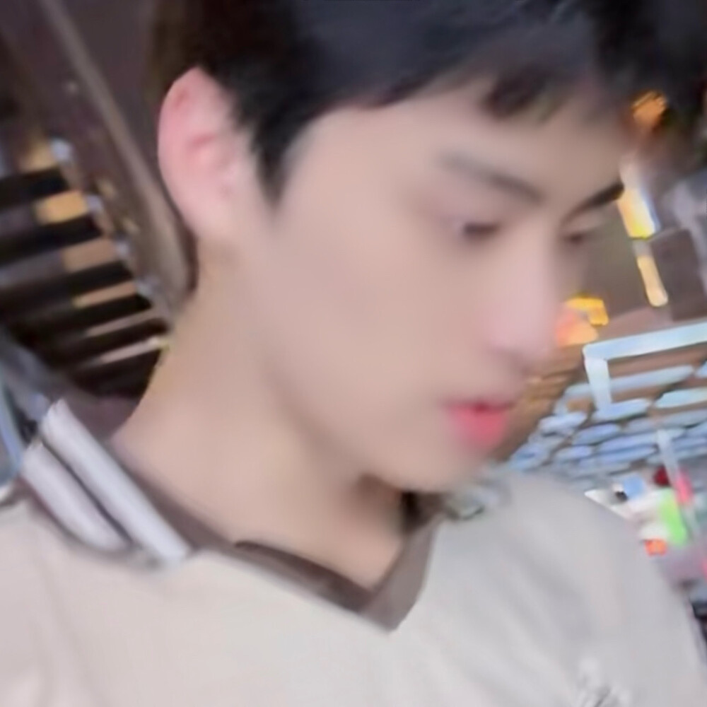 老树树