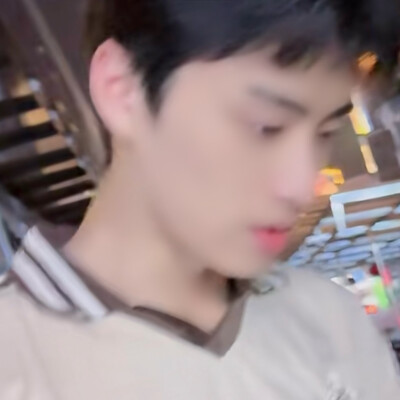 老树树