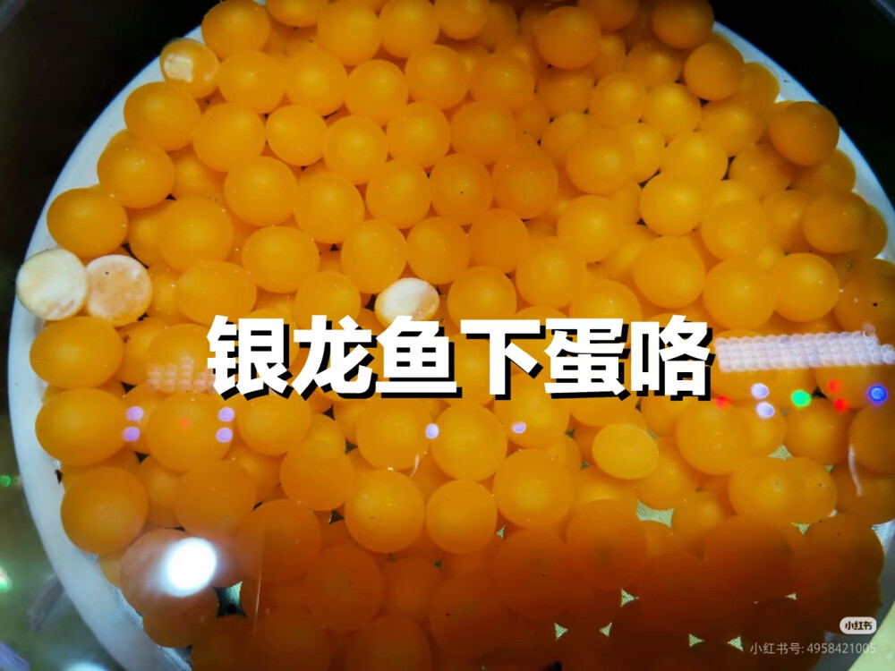 亿亿亿亿亿亿亿亿亿亿亿亿亿亿亿亿亿亿亿亿亿亿亿亿亿亿亿亿亿亿亿亿