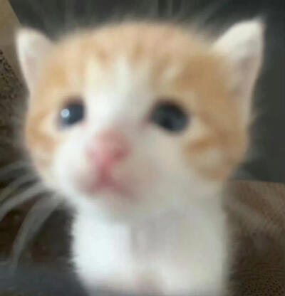 ♡