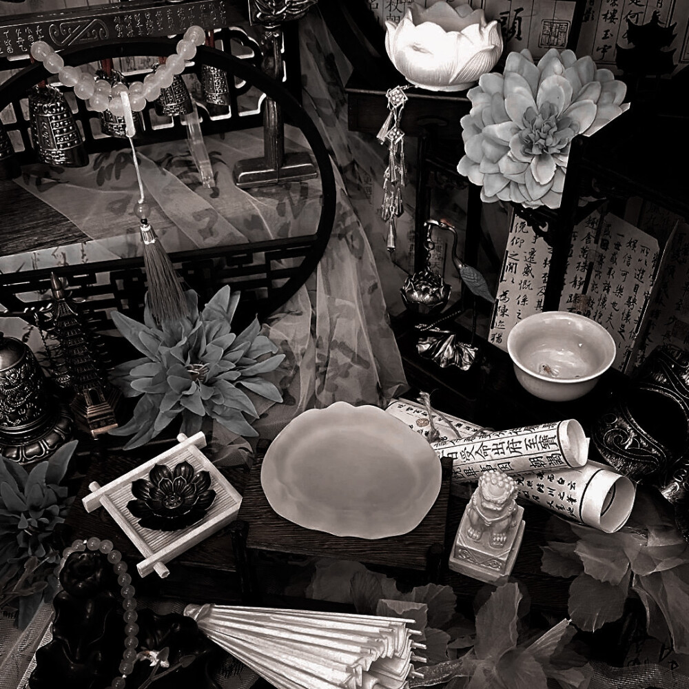 这个陈文嘉简直太宠我了