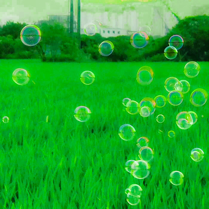 如果爱，可以重来。