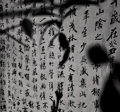 这个陈文嘉简直太宠我了