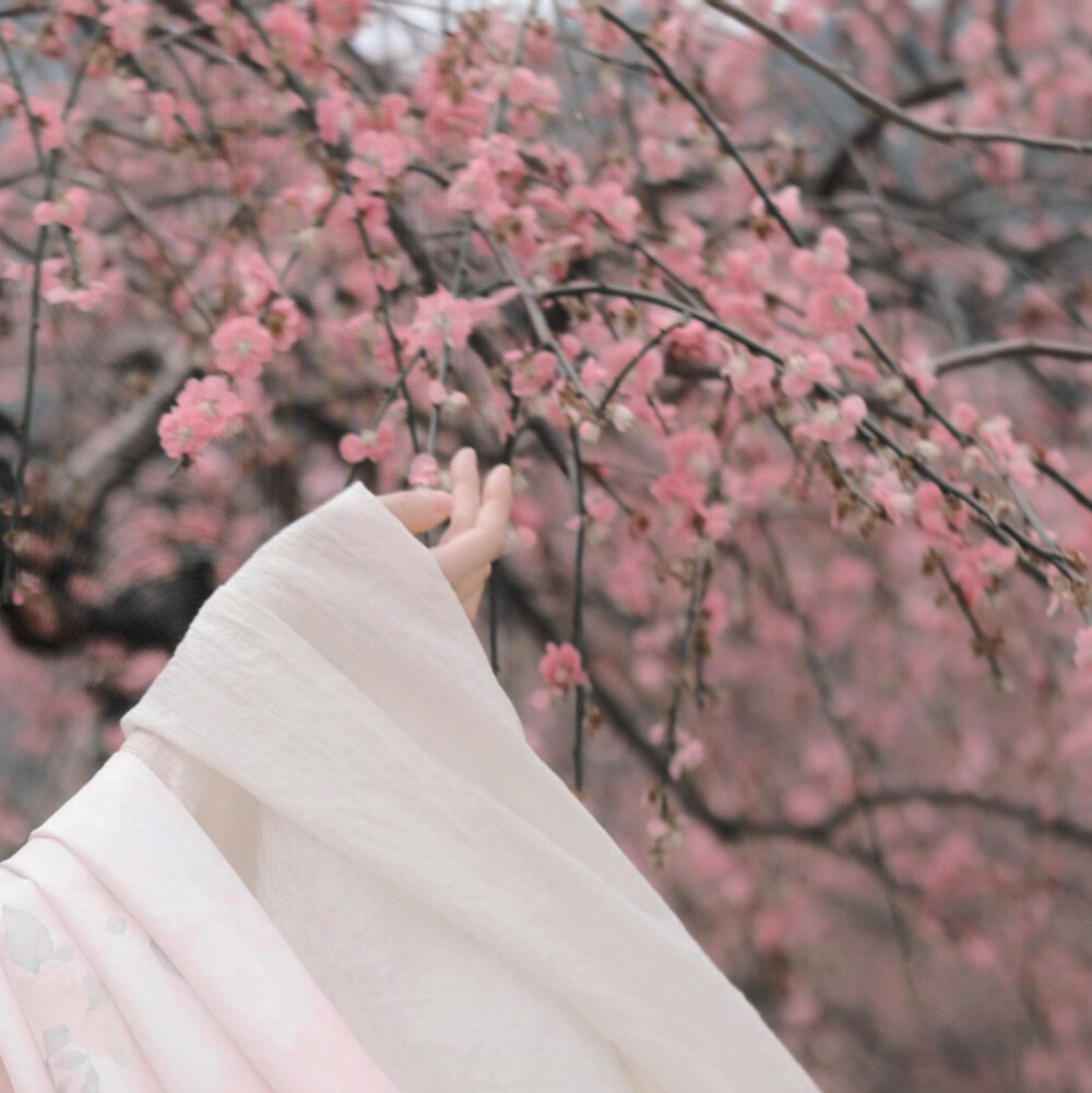 @裴珠泫酷的我你高攀不起 江舒宝宝送的