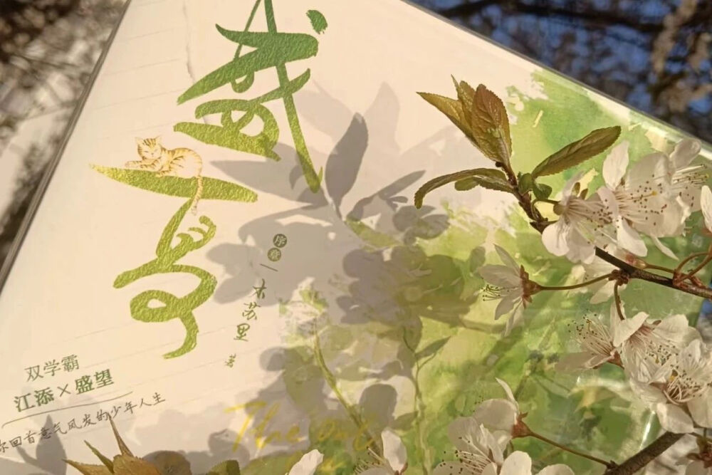 夏天壁纸
