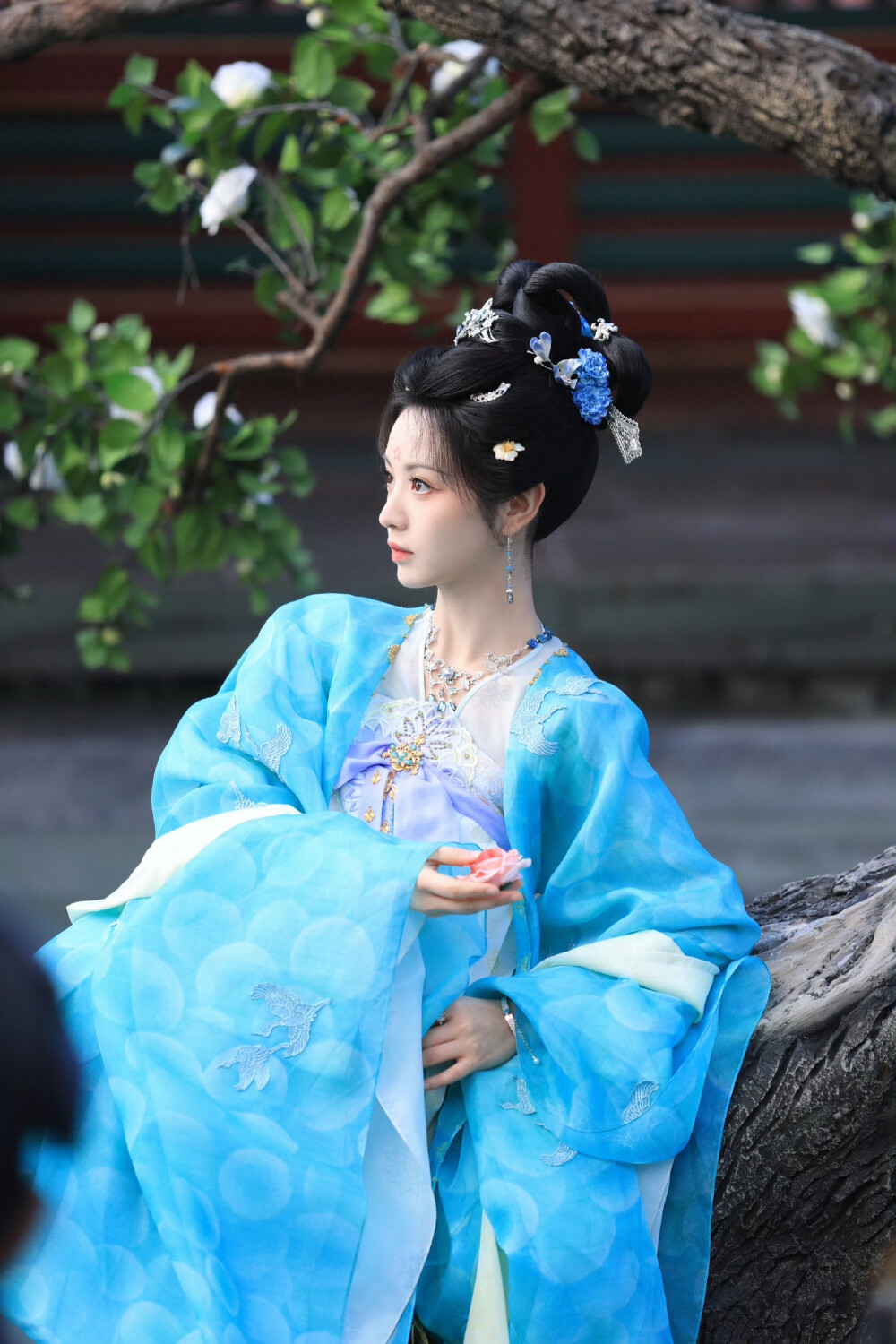 田曦薇