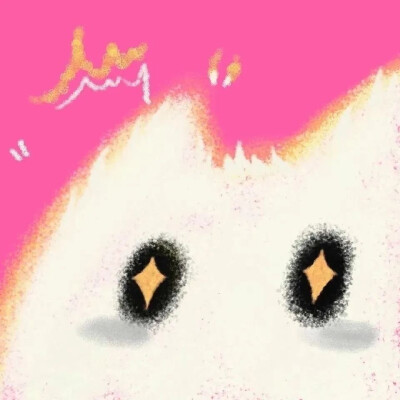 猫咪情头