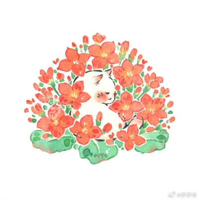 罗罗布