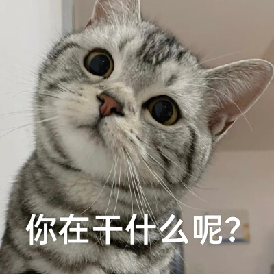 你在干什么呢？