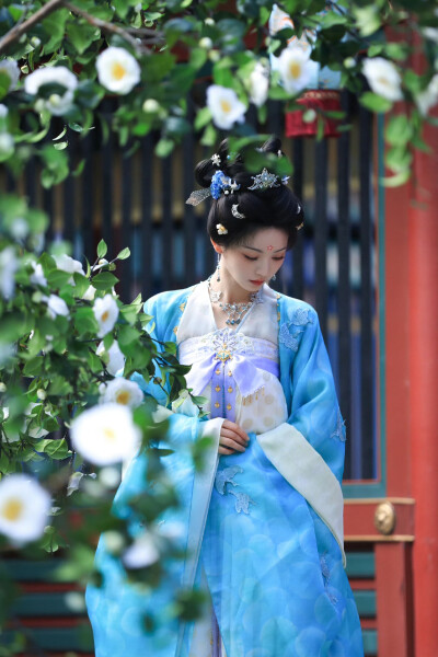 田曦薇