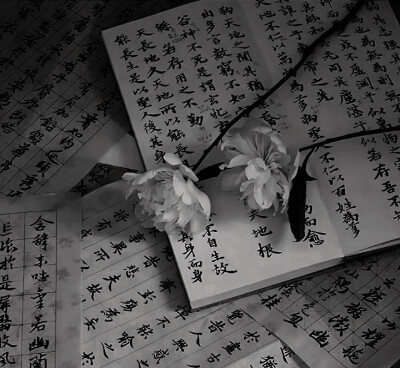 这个陈文嘉简直太宠我了