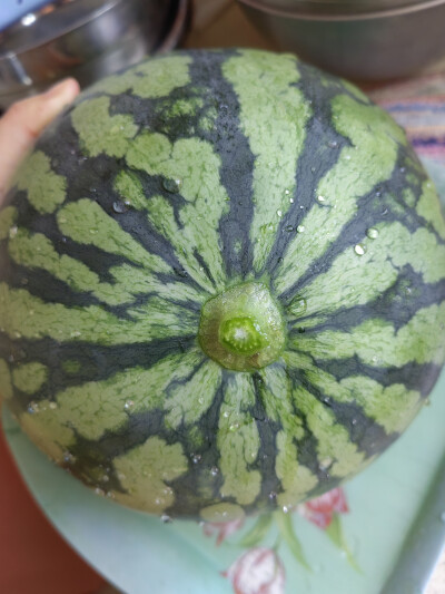 2025/8/19开西瓜