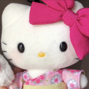 女头（二转传注明橘）