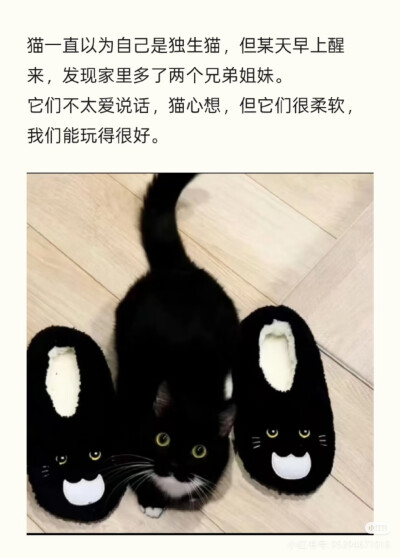 我是不会放弃收集这种图片的