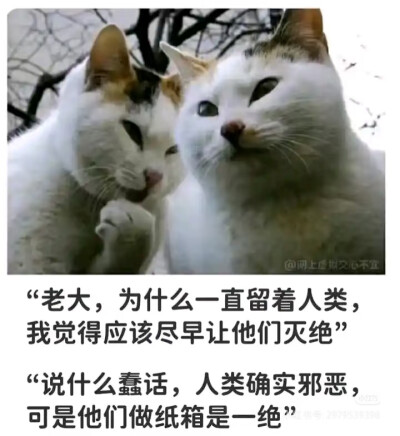 我是不会放弃收集这种图片的
