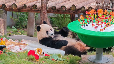 渝可爱生日