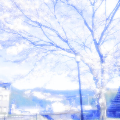 ₊˚萌໑