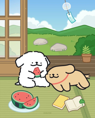 西瓜