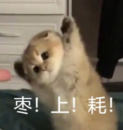 表情包