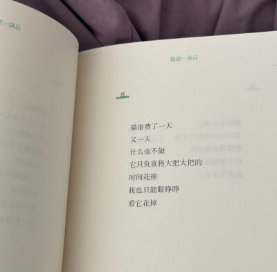 小猫小猫，摸你的时候你总扬起下巴，昏黄的路灯让你成为最柔软的反光体，眼睛眯起好像我就是你的阳光。可即使那晚的月亮很亮很亮，我还是看不清他眼里忽明忽暗的闪烁，是喜欢，是真诚，还是勉强。
