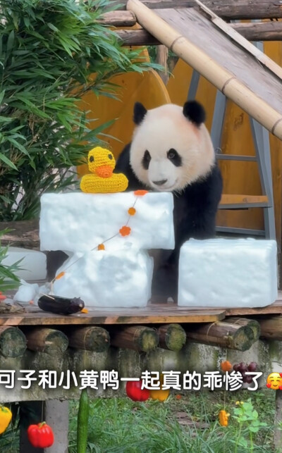 渝可爱生日