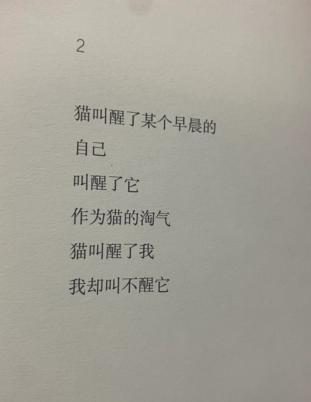 小猫小猫，摸你的时候你总扬起下巴，昏黄的路灯让你成为最柔软的反光体，眼睛眯起好像我就是你的阳光。可即使那晚的月亮很亮很亮，我还是看不清他眼里忽明忽暗的闪烁，是喜欢，是真诚，还是勉强。
