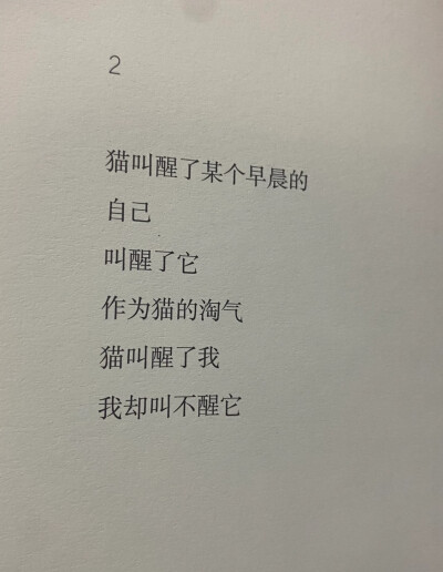 小猫小猫，摸你的时候你总扬起下巴，昏黄的路灯让你成为最柔软的反光体，眼睛眯起好像我就是你的阳光。可即使那晚的月亮很亮很亮，我还是看不清他眼里忽明忽暗的闪烁，是喜欢，是真诚，还是勉强。
