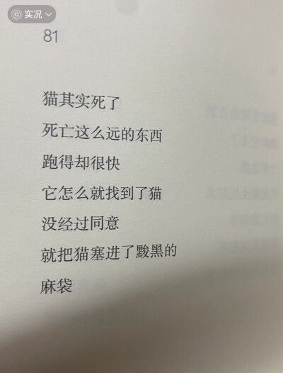 小猫小猫，摸你的时候你总扬起下巴，昏黄的路灯让你成为最柔软的反光体，眼睛眯起好像我就是你的阳光。可即使那晚的月亮很亮很亮，我还是看不清他眼里忽明忽暗的闪烁，是喜欢，是真诚，还是勉强。
