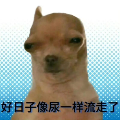 表情包