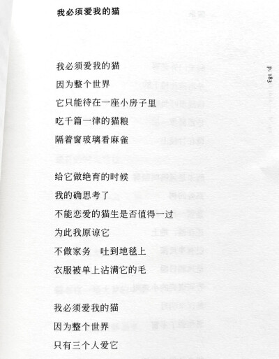 小猫小猫，摸你的时候你总扬起下巴，昏黄的路灯让你成为最柔软的反光体，眼睛眯起好像我就是你的阳光。可即使那晚的月亮很亮很亮，我还是看不清他眼里忽明忽暗的闪烁，是喜欢，是真诚，还是勉强。
