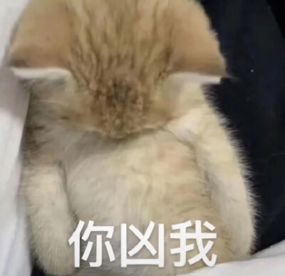表情包