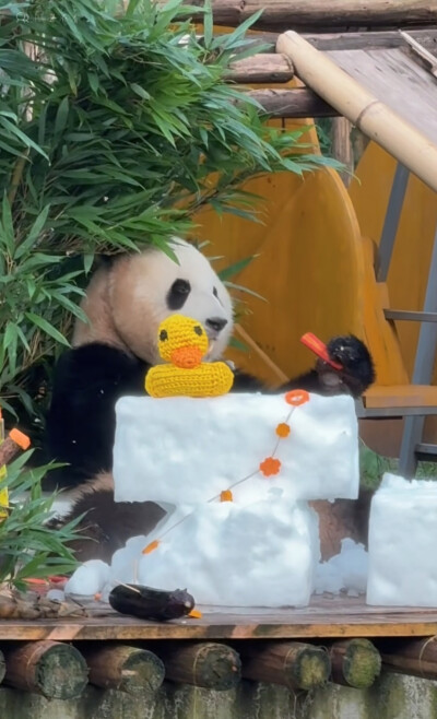 渝可爱生日