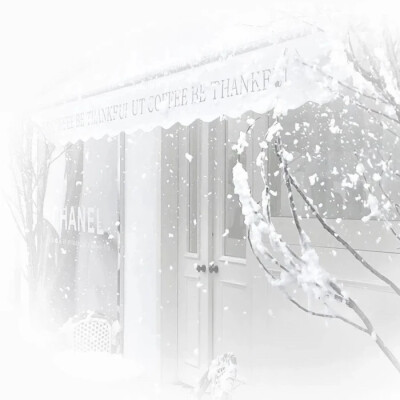 雨伞柄挂着未融化的雪、我们中间隔着叹息的雾