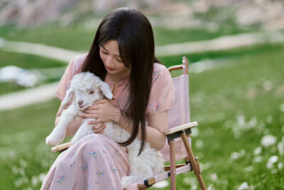 杨紫