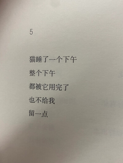 小猫小猫，摸你的时候你总扬起下巴，昏黄的路灯让你成为最柔软的反光体，眼睛眯起好像我就是你的阳光。可即使那晚的月亮很亮很亮，我还是看不清他眼里忽明忽暗的闪烁，是喜欢，是真诚，还是勉强。
